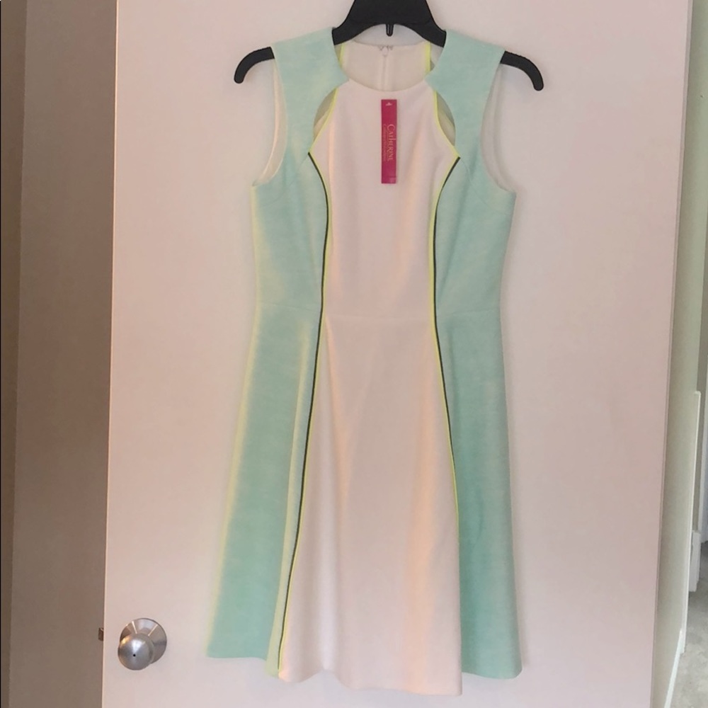 NEW Catherine Malanandrino white color block dress